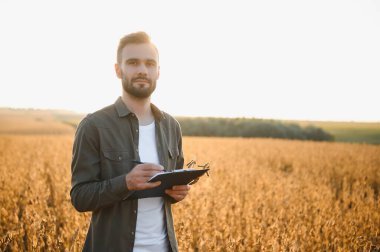 Soya tarlasında çiftçi ya da tarım uzmanı gün batımında mahsulü inceliyor..