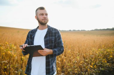 Agronomist tarlada yetişen soya fasulyesi ekinlerini inceliyor. Tarım üretim konsepti. Genç tarımcı tarlada soya fasulyesi mahsulünü inceliyor. Soya tarlasında çiftçi