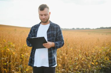 Soya tarlasında tarımcı çiftçi ekinleri kontrol ediyor. Organik gıda üretimi ve yetiştirilmesi.