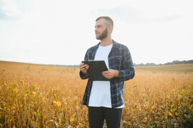 Soya tarlasında tarımcı çiftçi ekinleri kontrol ediyor. Organik gıda üretimi ve yetiştirilmesi.