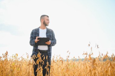 Genç tarımcı soya tarlasında tablet dokunmatik ped bilgisayarını tutuyor ve hasat etmeden önce ekinleri inceliyor. Tarım sektörü konsepti. Soya tarlasında elinde tabletle duran tarım mühendisi.