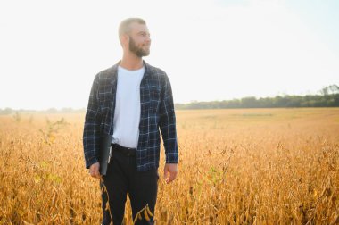 Soya tarlasında tarımcı çiftçi ekinleri kontrol ediyor. Organik gıda üretimi ve yetiştirilmesi.