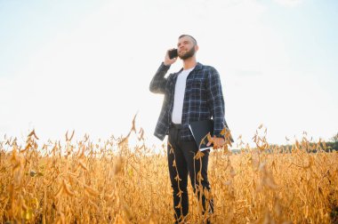 Soya tarlasında tarımcı çiftçi ekinleri kontrol ediyor. Organik gıda üretimi ve yetiştirilmesi.