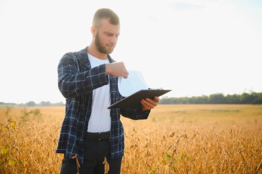 Soya tarlasında tarımcı çiftçi ekinleri kontrol ediyor. Organik gıda üretimi ve yetiştirilmesi.