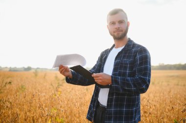 Genç ve yakışıklı bir çiftçi ya da tarım uzmanı hasat etmeden önce tarlada olgunlaşan soya fasulyelerini inceliyor..