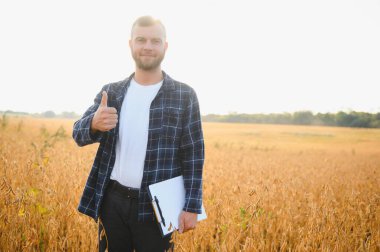 Soya tarlasında tarımcı çiftçi ekinleri kontrol ediyor. Organik gıda üretimi ve yetiştirilmesi.