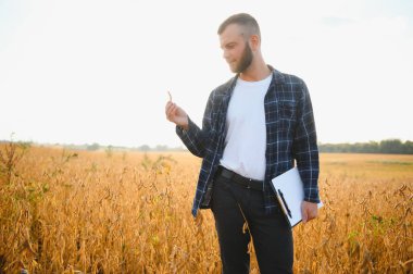 Agronomist tarlada yetişen soya fasulyesi ekinlerini inceliyor. Tarım üretim konsepti. Genç tarımcı tarlada soya fasulyesi mahsulünü inceliyor. Soya tarlasında çiftçi