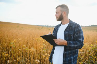 Soya tarlasında tarımcı çiftçi ekinleri kontrol ediyor. Organik gıda üretimi ve yetiştirilmesi.