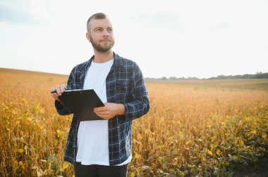 Agronomist tarlada yetişen soya fasulyesi ekinlerini inceliyor. Tarım üretim konsepti. Genç tarımcı tarlada soya fasulyesi mahsulünü inceliyor. Soya tarlasında çiftçi