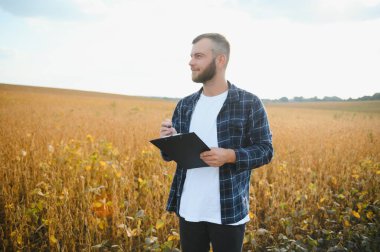 Agronomist tarlada yetişen soya fasulyesi ekinlerini inceliyor. Tarım üretim konsepti. Genç tarımcı tarlada soya fasulyesi mahsulünü inceliyor. Soya tarlasında çiftçi