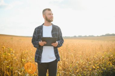 Agronomist tarlada yetişen soya fasulyesi ekinlerini inceliyor. Tarım üretim konsepti. Genç tarımcı tarlada soya fasulyesi mahsulünü inceliyor. Soya tarlasında çiftçi