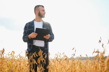 Agronomist tarlada yetişen soya fasulyesi ekinlerini inceliyor. Tarım üretim konsepti. Genç tarımcı tarlada soya fasulyesi mahsulünü inceliyor. Soya tarlasında çiftçi