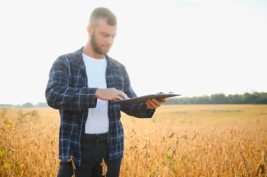 Genç ve yakışıklı bir çiftçi ya da tarım uzmanı hasat etmeden önce tarlada olgunlaşan soya fasulyelerini inceliyor..