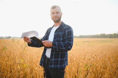 Soya tarlasında tarımcı çiftçi ekinleri kontrol ediyor. Organik gıda üretimi ve yetiştirilmesi.