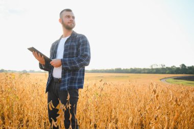 Genç tarımcı soya tarlasında tablet dokunmatik ped bilgisayarını tutuyor ve hasat etmeden önce ekinleri inceliyor. Tarım sektörü konsepti. Soya tarlasında elinde tabletle duran tarım mühendisi.