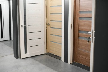 Tuvalet kapılarının penceresi. Ev için geniş bir iç kapı seçimi. konut yenileme konsepti.