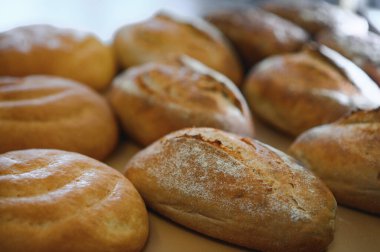 Fırın raflarında taze pişmiş ekmek. Parlak ışıkta ekmek çeşitliliği. Tahta raflarda altın hamurlu ekmek. Ekmek çeşitleri..