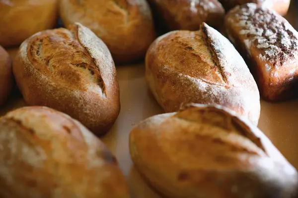 stock image Round bread close-up. Freshly baked sourdough bread with a golden crust on bakery shelves. Baker shop context with delicious bread. Pastry items.