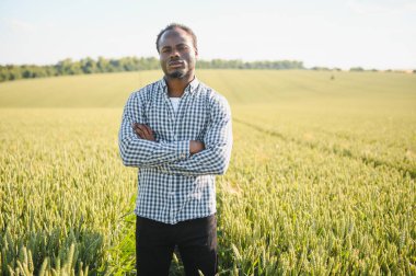 Afrikalı Amerikalı adam gün ışığında büyük buğday tarlalarını keşfeder. Siyahi tarımcılar iyi hasatla tarlada çalışmayı severler..