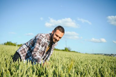 Tarım buğday tarlasında duran şapkalı mutlu çiftçi..