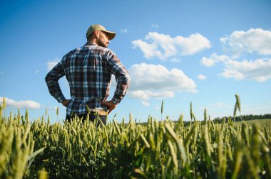 Tarım buğday tarlasında duran şapkalı mutlu çiftçi..