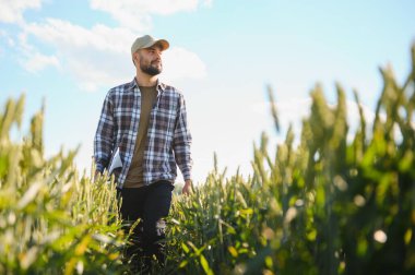 Gün batımında yeşil buğday tarlasında duran genç çiftçinin portresi.