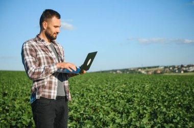 Genç yakışıklı tarım mühendisi soya fasulyesi tarlasında dizüstü bilgisayarla yaz başında çömeliyor..