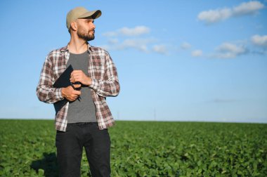 Agronomist tarlada yetişen soya fasulyesi ekinlerini inceliyor. Tarım üretim konsepti. Genç tarımcı yazın tarlada soya fasulyesi mahsulünü inceliyor. Soya tarlasında çiftçi.