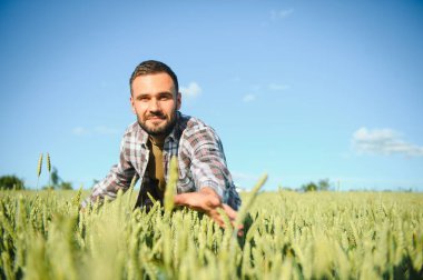 Buğday tarlasında duran çiftçinin portresi.