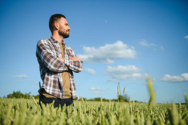 Tarım buğday tarlasında duran şapkalı mutlu çiftçi..