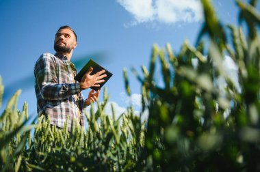 Buğday tarlasında duran çiftçinin portresi.