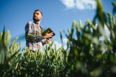Buğday tarlasında duran çiftçinin portresi.
