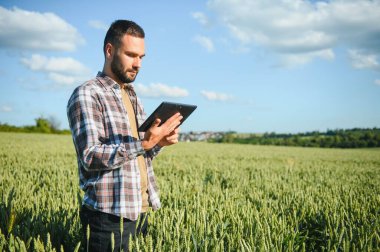 Buğday tarlasında duran çiftçinin portresi.