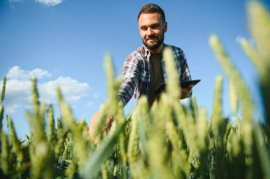 Buğday tarlasında duran çiftçinin portresi.