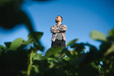 Soya tarlasında genç bir çiftçi.