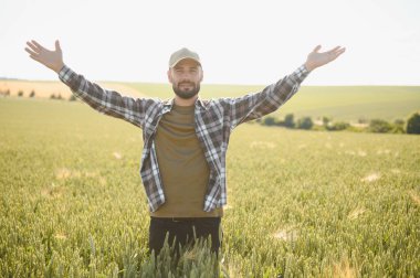 Yeşil buğday tarlasında dikilen genç çiftçi mahsulü inceliyor..