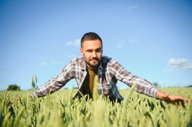 Buğday tarlasında duran çiftçinin portresi.