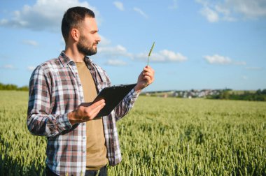Tarım buğday tarlasında duran şapkalı mutlu çiftçi..