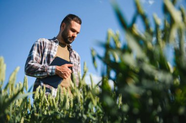 Buğday tarlasında duran çiftçinin portresi.