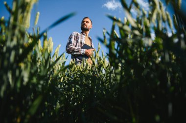 Gün batımında yeşil buğday tarlasında duran genç çiftçinin portresi.