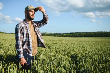 Gün batımında yeşil buğday tarlasında duran genç çiftçinin portresi.