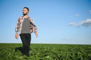Soya tarlasında çiftçi. Açık havada büyümek.