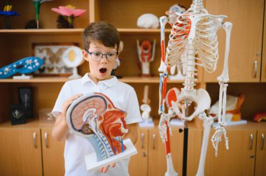 Bir öğrenci elinde insan DNA 'sının bir modelini tutuyor. Biyoloji dersi