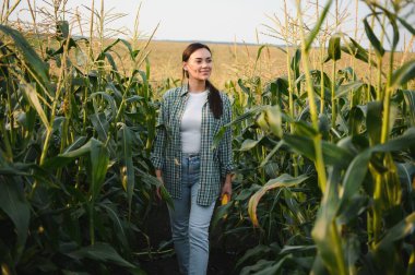 Mısır tarlasında çiftçi bir kadın. kadın tarım işçisi ekin gelişimini analiz ediyor.