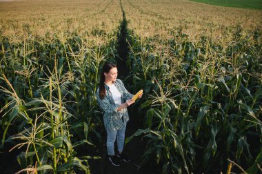 Tarım konsepti. Mısır tarlasında çiftçi kadın