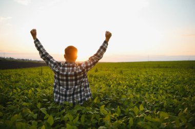Genç çiftçi, soya fasulyesi şirketini inceliyor. Başparmak kaldırıyor..