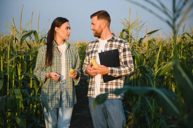 Aile tarım işgali. Erkek ve kadın mısır yetiştiriyor. Bitkilerin iyi gidişatından memnunlar..