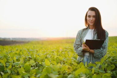 Gün batımında soya tarlasında genç bir kadın çiftçi..