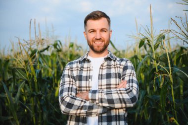 Mısır tarlasında genç ve yakışıklı tarım uzmanı hasat etmeden önce ekinleri inceliyor. Tarım sektörü konsepti. Mısır tarlasında duran tarım mühendisi.