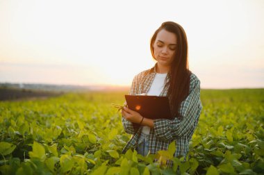 Soya tarlasında bir kadın çiftçi..